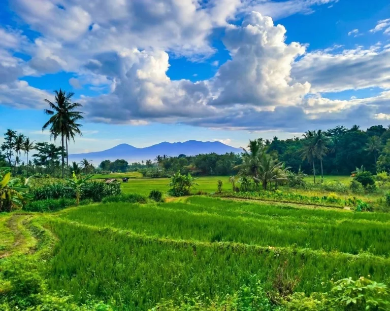 Mengenal Desa Diwak: Salah Satu Desa Wisata di Bergas, Kabupaten Semarang