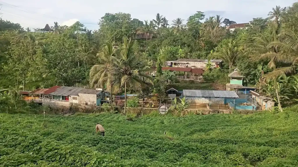 View atas pemandian air panas desa diwak